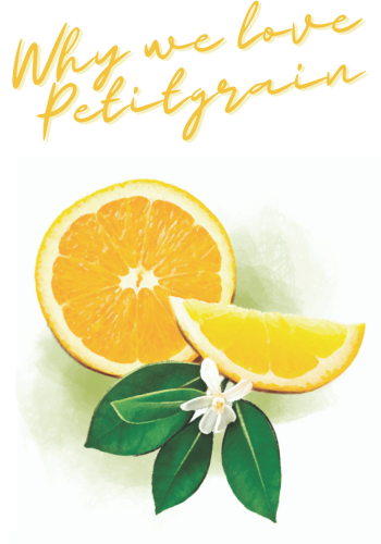Botanical Feature (4)