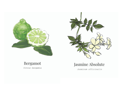 Botanical Feature (6)