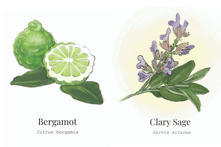 Botanical Feature3